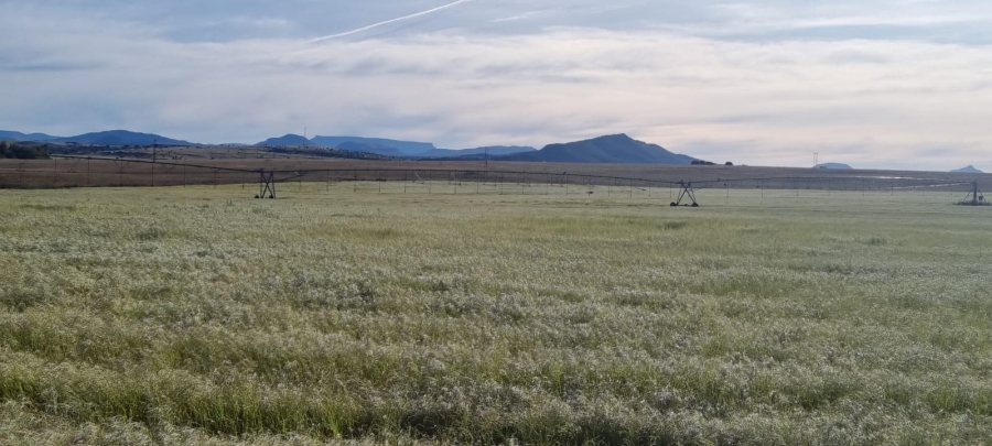 4 Bedroom Property for Sale in Queenstown Rural Eastern Cape